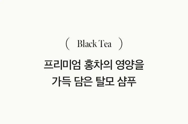 [뿌리볼륨/탈모증상완화] 아닐로 블랙티 너리싱 두피 샴푸 450ml 상세페이지 18